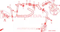 CONDOTTO ACQUA per Honda VT 1100 SHADOW C3 1999