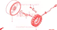 GENERATORE per Honda CBR 600 F 2003