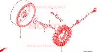 GENERATORE per Honda CBR 600 1999