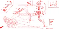 TERMOSTATO per Honda CBR 600 1999
