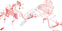 RINFRESCATORE OLIO(VTR1000SPY/1) per Honda VTR 1000 SP1 100CV 2000