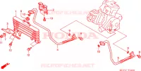 RINFRESCATORE OLIO(VTR1000SPY/1) per Honda VTR 1000 SP1 2000