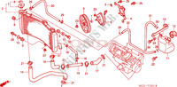 RADIATORE (CBR900RR2,3) per Honda CBR 954 FIREBLADE 2002