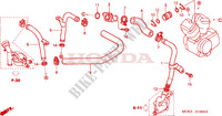 CONDOTTO ACQUA per Honda VT 1100 SHADOW C2 2000