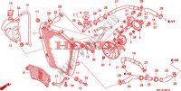 RADIATORE  per Honda CBR 1000 RR FIREBLADE REPSOL 2007