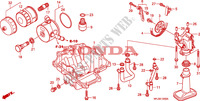 SCODELLO OLIO/POMPA OLIO per Honda CBR 600 RR ABS TRICOLORE 2011