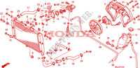 RADIATORE per Honda CBF 1000 F ABS 98HP 2010