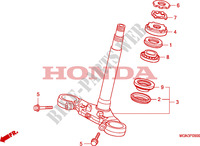GAMBA STERZO per Honda CBF 600 FAIRING ABS 34HP 2010