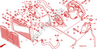 RADIATORE per Honda CBF 600 NAKED ABS 34HP 2010