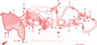 RINFRESCATORE OLIO per Honda NR 750 1992