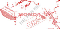 LUCE CODA per Honda CBR 1000 DUAL CBS 1994