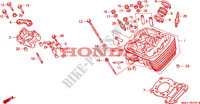TESTATA(FRONTE) per Honda STEED 400 1997