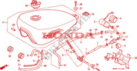 SERBATOIO COMBUSTIBILE(1) per Honda SHADOW 600 VLX DELUXE 1998