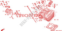 TESTATA(FRONTE) per Honda VLX SHADOW 600 1997