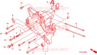 CASSA MANOVELLA DESTRA per Honda LEAD 110 2010