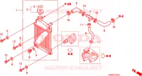 RADIATORE per Honda LEAD 110 2010