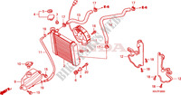 RADIATORE per Honda S WING 125 FES 2011