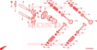 ALBERO A CAMME/VALVOLA per Honda SH 300 2009