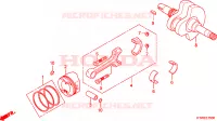 ALBERO A GOMITI/PISTONE per Honda SH 300 2009