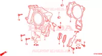 CILINDRO/CANNA VALVOLA per Honda SH 300 2009