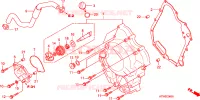COPERTURA CASSA MANOVELLA/ POMPA ACQUA per Honda SH 300 2009