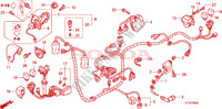 BARDATURA FILO per Honda PES 125 INJECTION 2012