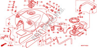 SERBATOIO COMBUSTIBILE (CBF600S8/SA8) per Honda CBF 600 FAIRING 25KW 2008
