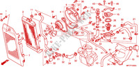 RADIATORE per Honda SHADOW VT 750 SPIRIT 2009
