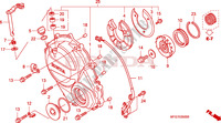 COPERTURA CASSA MANOVELLA per Honda CB 600 F HORNET STRIPES 34HP 2009