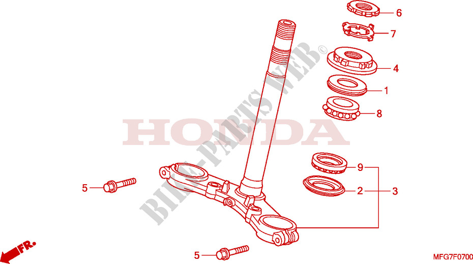 GAMBA STERZO per Honda CB 600 F HORNET 2007