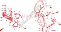 RINFRESCATORE OLIO per Honda FOURTRAX SPORT 400 EX 2007