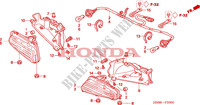 LUCE CODA per Honda FOURTRAX 650 RINCON 2007
