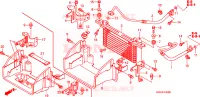 RINFRESCATORE OLIO per Honda FOURTRAX 500 FOREMAN 4X4 Electric Shift 2008