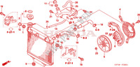RADIATORE (TRX450R6,7,8/ER6,7,8) per Honda TRX 450 R SPORTRAX Kick start 2007
