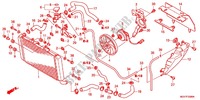 RADIATORE per Honda CBR 600 F ABS WHITE 2012