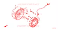 COPERTURA CASSA MANOVELLA/ GENERATORE(2) per Honda NC 700 ABS 2012