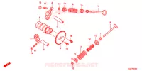 ALBERO A CAMME/VALVOLA per Honda VISION 50 2012