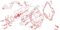 COPERTURA CASSA MANOVELLA/POMPA ACQUA per Honda SH 300 R ABS TYPE 2E 2012