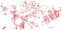 RADIATORE per Honda TRX 450 R SPORTRAX Electric Start 2012