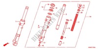 FORCELLA ANTERIORE per Honda PCX 125 SPECIAL EDITION 2012