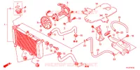 RADIATORE per Honda CBR 250 R ABS TRICOLOR 2013