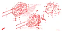 CASSA MANOVELLA/POMPA OLIO per Honda CRF 110 2013