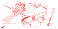 CATENA CAMMA/TENSIONE per Honda CRF 110 2013