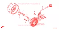 COPERTURA CASSA MANOVELLA/ GENERATORE(2) per Honda CRF 250 L ROJO 2014