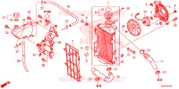 RADIATORE per Honda CRF 250 M RED 2015