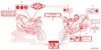 ETICHETTA CAUZIONE per Honda NC 700 ABS DCT 35KW 2013