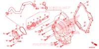 COPERTURA CASSA MANOVELLA/POMPA ACQUA per Honda FORZA 300 2014