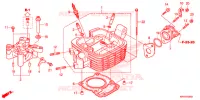 CILINDRO/TESTATA per Honda XR 150 2016