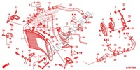RADIATORE per Honda CBR 600 RR ABS HRC TRICOLOR 2014