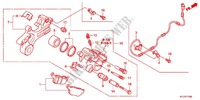 CALIBRO FRENO POSTERIORE per Honda CBR 250 R ABS TRICOLORE 2012